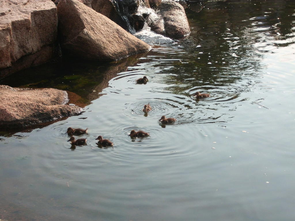 Bagaglino I Giardini Di Porto Cervo Hotel Kültér fotó